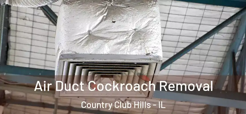  Air Duct Cockroach Removal Country Club Hills - IL