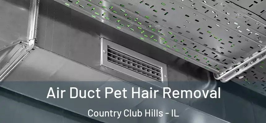Air Duct Pet Hair Removal Country Club Hills - IL