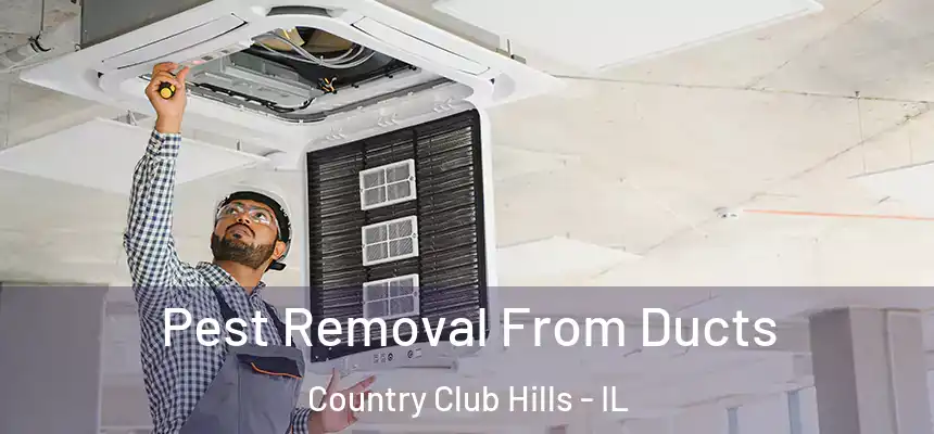  Pest Removal From Ducts Country Club Hills - IL