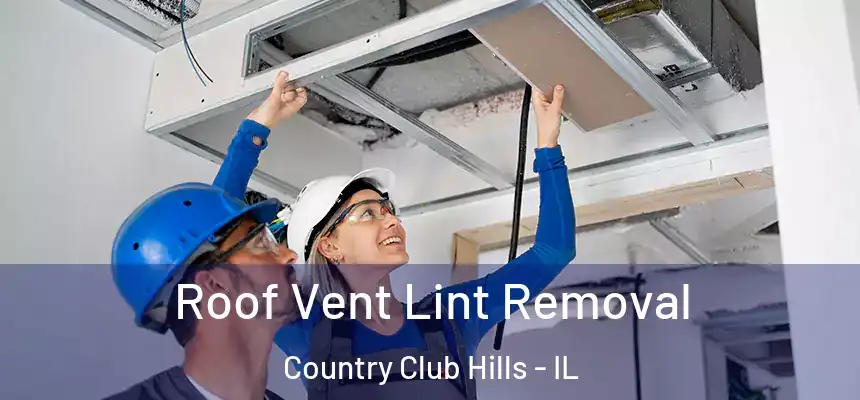  Roof Vent Lint Removal Country Club Hills - IL
