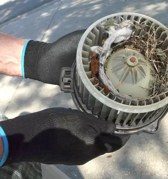 About Air Duct Mice Removal in Country Club Hills, IL