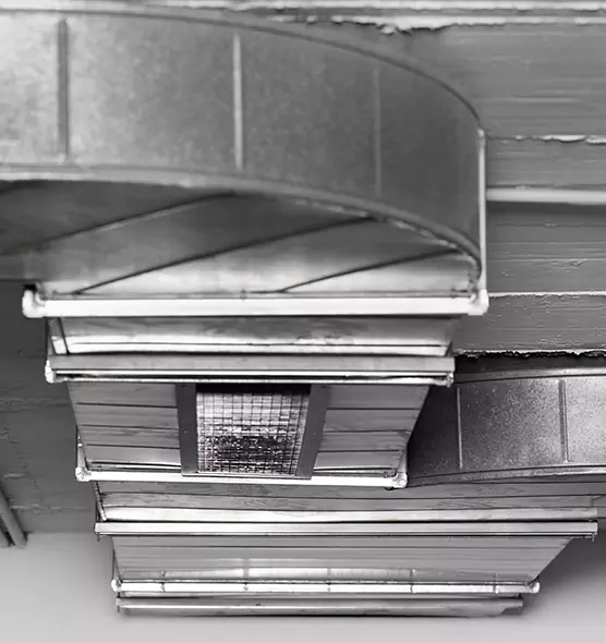 Professional Air Duct Pest Removal in Country Club Hills, IL