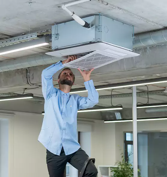 Advanced Rodent Droppings In Vents in Country Club Hills, IL