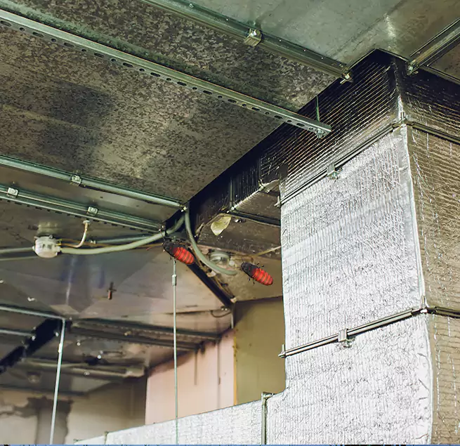 Why Homeowners & Businesses Trust Us in Country Club Hills, IL?